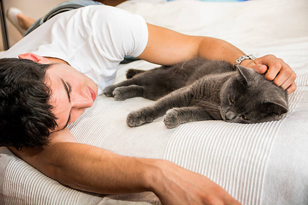 istock Handsome Young Man Cuddling his Gray Cat Pet 493556434