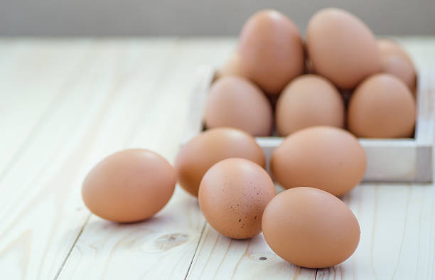 jaja - agriculture brown burlap cholesterol zdjęcia i obrazy z banku zdjęć