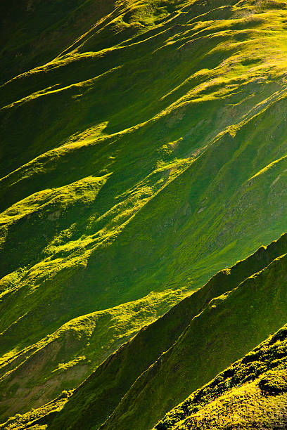 Green slopes of Causacus mountains