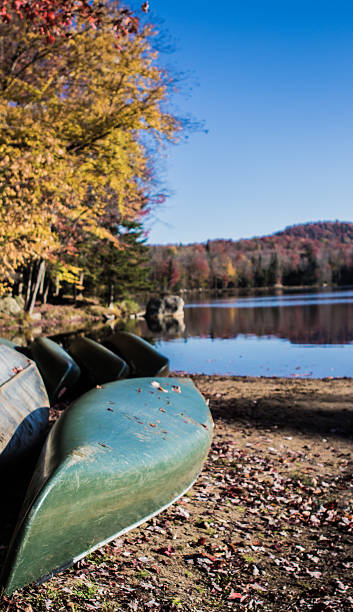 istock Canoe by the lake 493559598