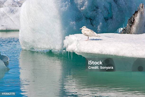 Icebergs At Jokulsarlon Glacier Lagoon South Of Iceland Stock Photo - Download Image Now