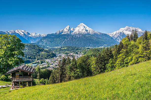 istock Idyllic landscape in the Alps with mountain chalet in springtime 493562970