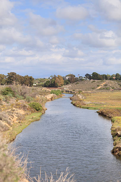 istock Marsh view of Bay Bay wetlands 493563460