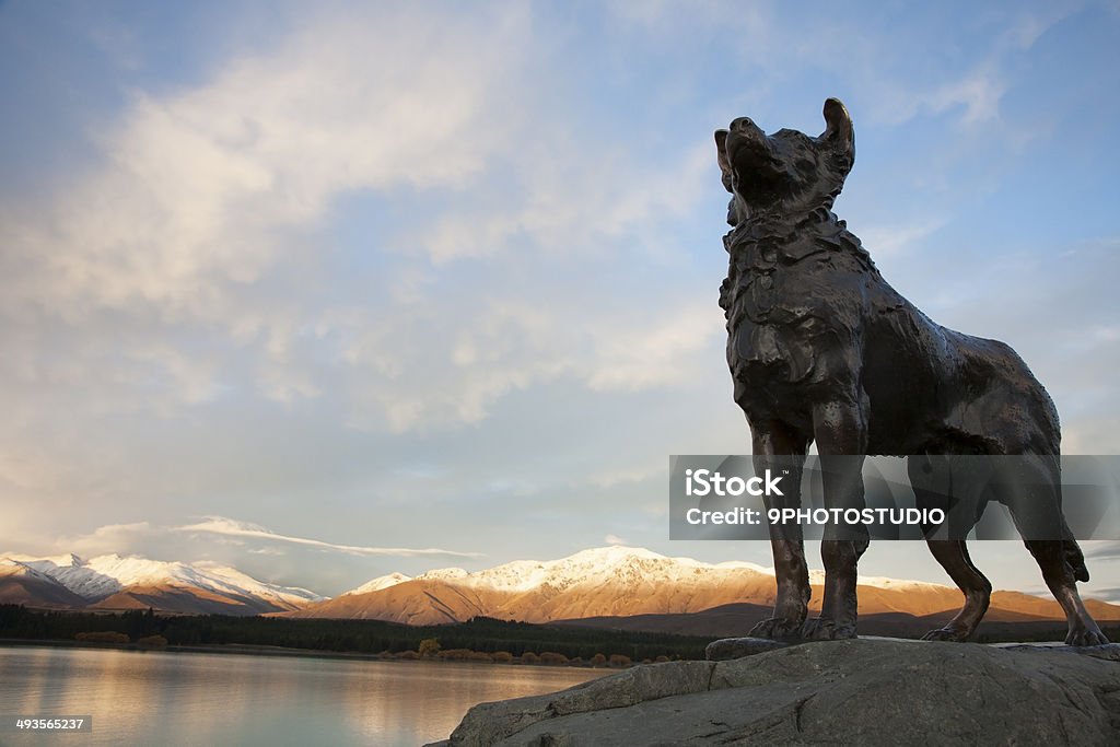 Collie A estátua e o pôr-do-sol. - Foto de stock de Collie royalty-free