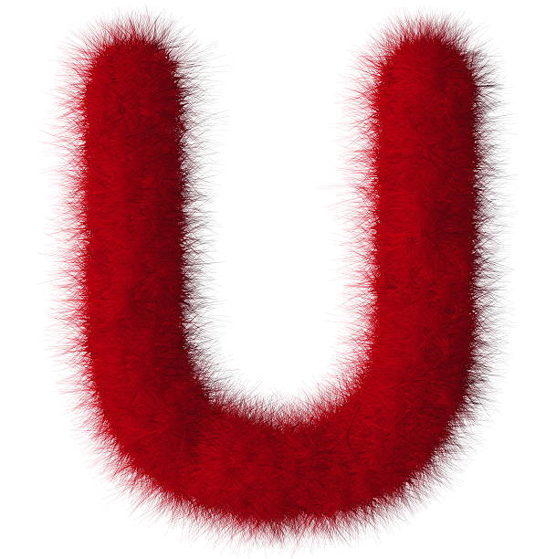 istock Red shag U letter isolated on white background 493565823