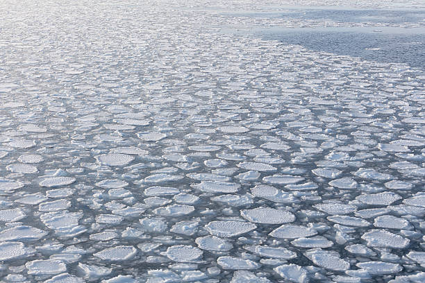 Mar de hielo edge - foto de stock