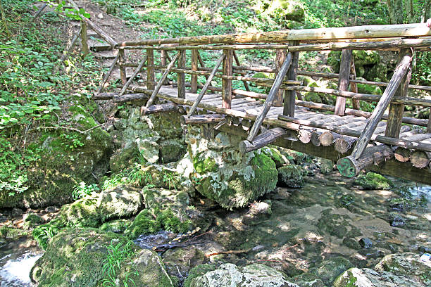 istock Nature park Strandzha in Bulgaria 493569319