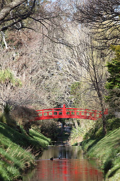 Red arched bridge over stream in botanical gardens stock photo