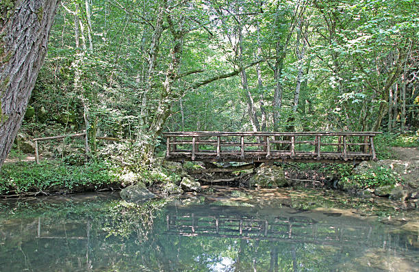 istock Nature park Strandzha in Bulgaria 493569513