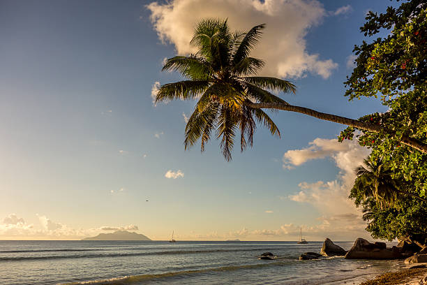istock Beau Vallon - Mahe - Seychelles 493573152