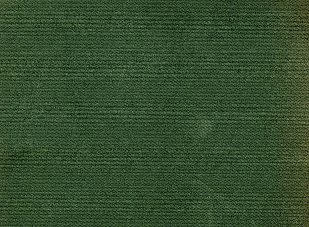 istock Old antique green linen background 493573962