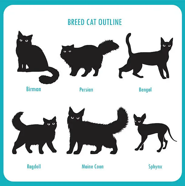 Vector illustration of Breed Cat Outline Icons. Black And White Vector.