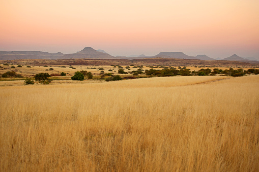 This is a landscape image of African savannah and a mountain range in Northern Namibia, close to Palmwag. This African landscape has beautiful colors at sunset. There are no people or animals in this image.