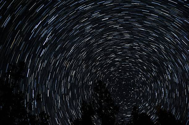 Star trails around pole star with tree silhouettes in foreground