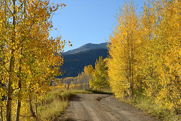 istock Sunny Autumn Mountain Road 493585324