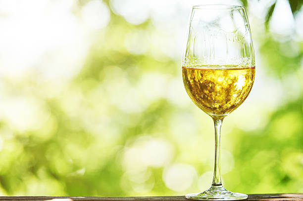 Glass of white whine Glass of Chardonnay, Sauvignon or Rkatsiteli white wine over outdoors background kakheti georgia stock pictures, royalty-free photos & images