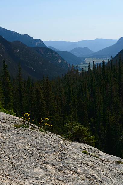 istock Old Fall River Road, Rocky Mountain National Park 493587362
