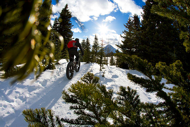 istock Fat Bike Ride 493587730