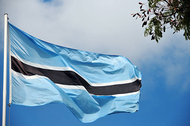 Flag of Botswana (real photo, not computer graphic) Flag of Botswana in the wind with sky and acacia leaves (not computer graphic) - light blue field with an horizontal black stripe with a thin white frame flag of botswana pictures stock pictures, royalty-free photos & images