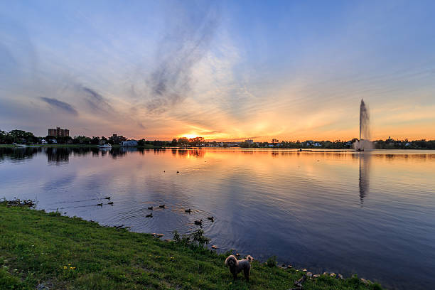 istock Sunset over calm lake and fountain 493594742