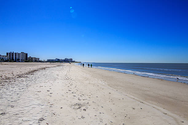 istock People in the distance on beach 493595714