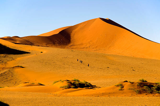 istock Tourists on the red dunes, Namibia 493595770