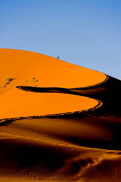 istock Tourist climbing the Sossusvlei red dune, Namibia 493595822