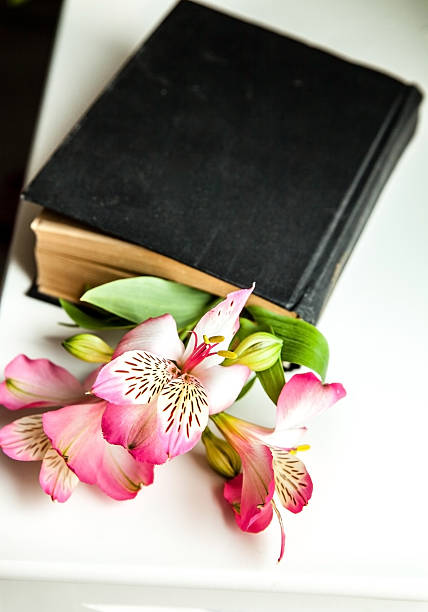 istock Alstroemeria flowers with book in vase 493596102