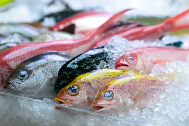 Colourful catch Colourful fish being sold at the fish market in Naha, Okinawa. fish market photos stock pictures, royalty-free photos & images