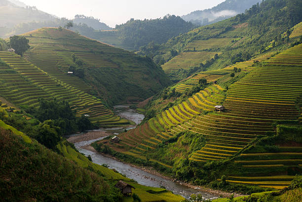 istock Rice fields at Mu Cang Chai, Vietnam. 493600196