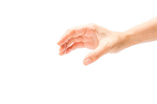 istock Woman hands on white background 493600398