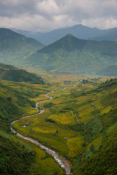 istock Rice fields on terraced in sunset at Tu Le Village, 493600408