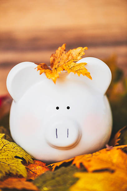 istock Fall Savings. Piggy bank amongst fall leaves with copyspace 493601076