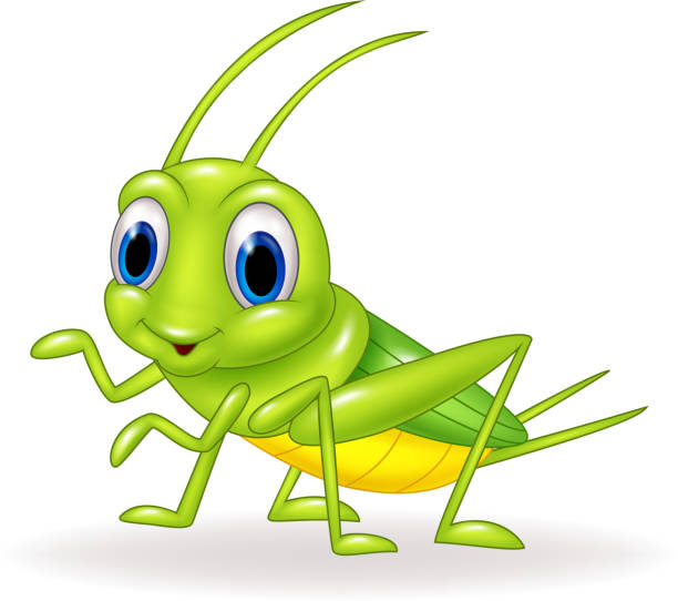 kreskówka ładny zielony krykiet na białym tle - grasshopper stock illustrations