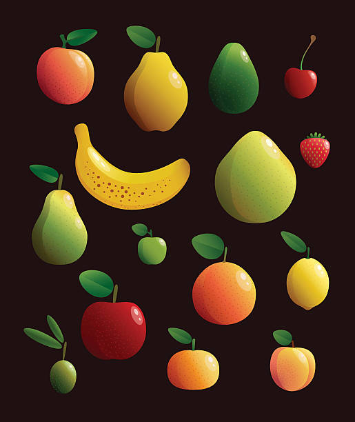 Fruit Vector Illustrations Set of different types of fruits bartlett pear stock illustrations