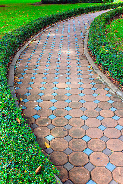 istock The path of the garden. 493608359