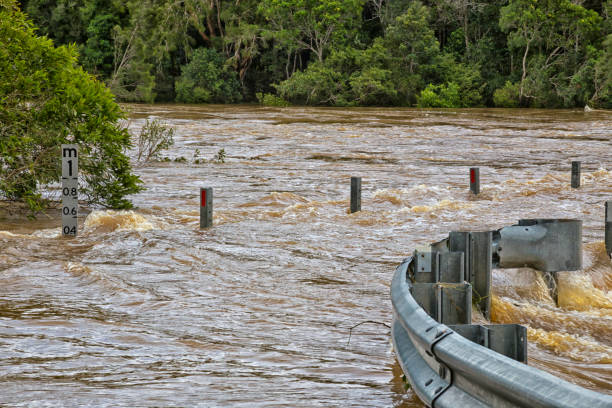 powódź znacznik - rainforest forest river australia zdjęcia i obrazy z banku zdjęć