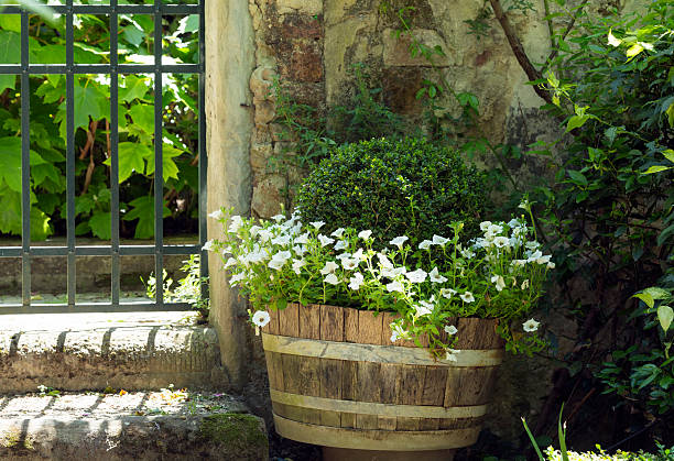 istock Flowers in a bucket 493609141