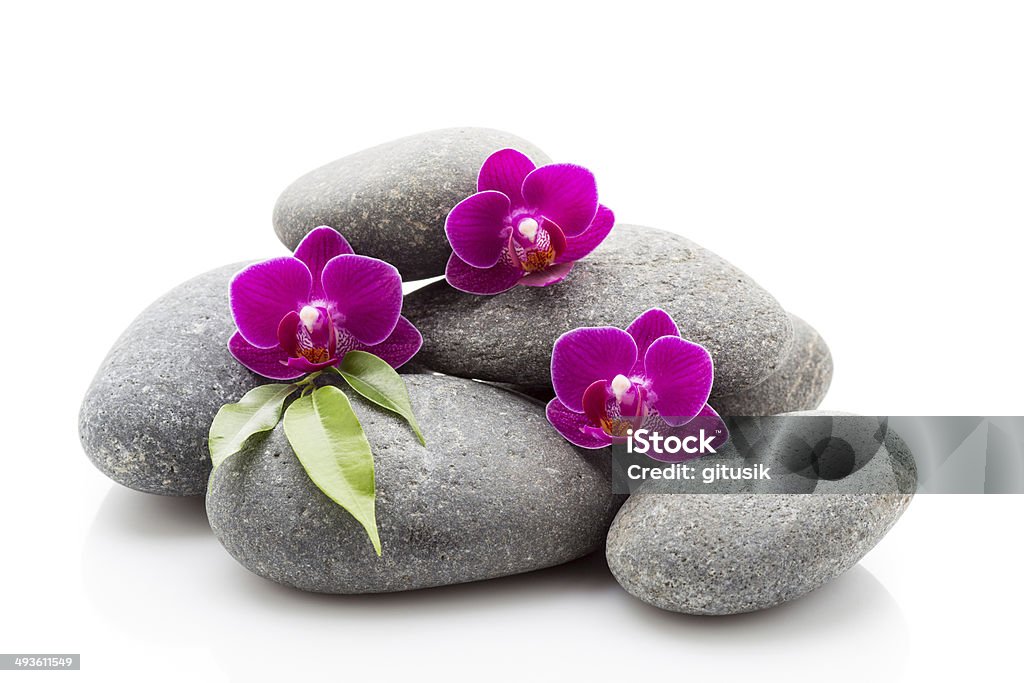 Spa stones Spa masage stones and orchid isolated on the white background. Abstract Stock Photo