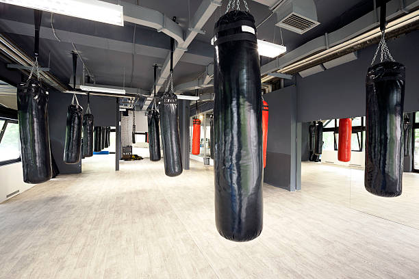 istock Punching bags in spacious gym 493611815