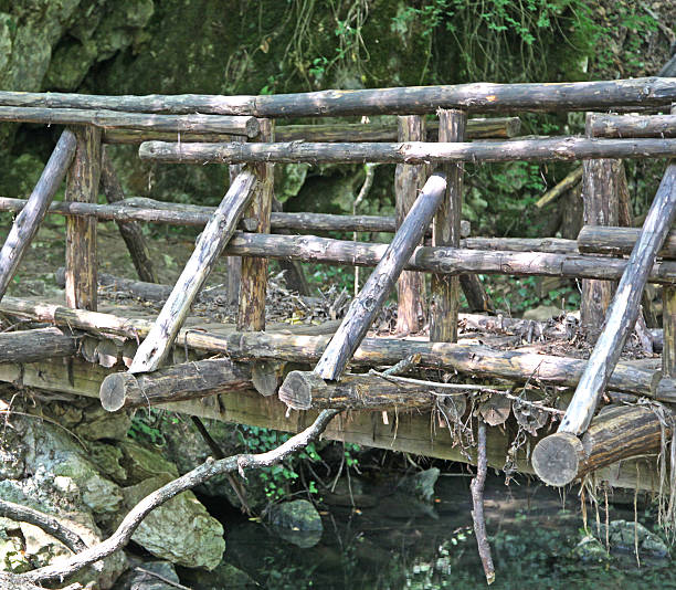 istock Nature park Strandzha in Bulgaria 493611961