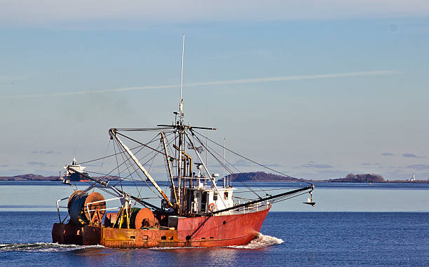 istock Fishing boat leaving the Boston Harbor 493613731