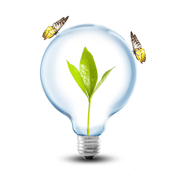 istock Light Bulb with plant inside and butterfly 493613999