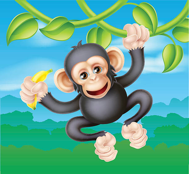 Chimpansee Illustrations, Royalty-Free Vector Graphics & Clip Art - iStock