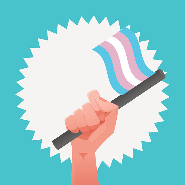 stockillustraties, clipart, cartoons en iconen met sexuality flag - transgender