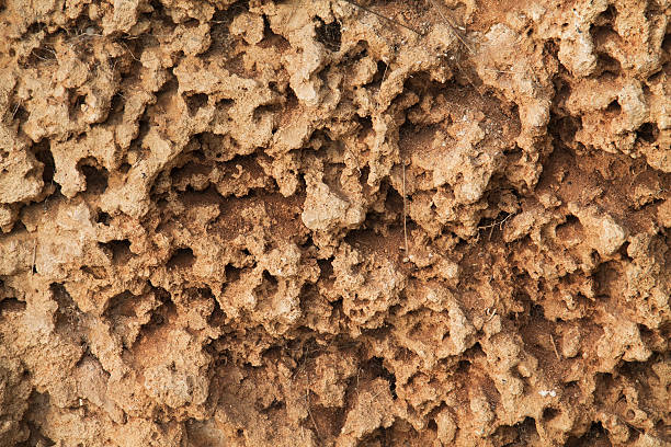 istock Background texture of Rocks eroded by the water 493621514