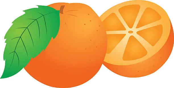 Vector illustration of Orange Vector Illustration