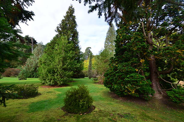 istock English garden in Autumn/ Fall 493622030