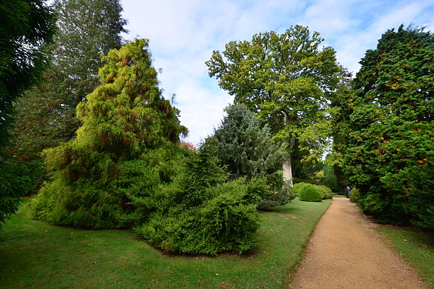 istock English garden in Autumn/ Fall 493622068