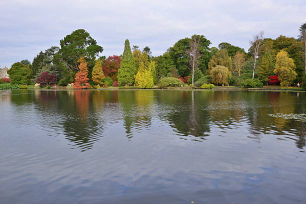 istock English garden in Autumn/ Fall 493622252